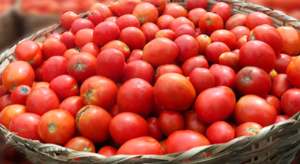 Tomatoes (Basket)