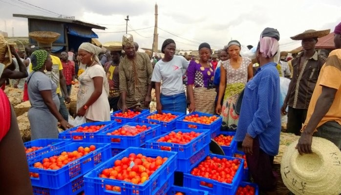 From Basket To Plastic Crates, Mile-12 Tomato Dealers Turn New Leaf